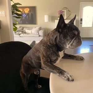 Meet your Posher, Ali